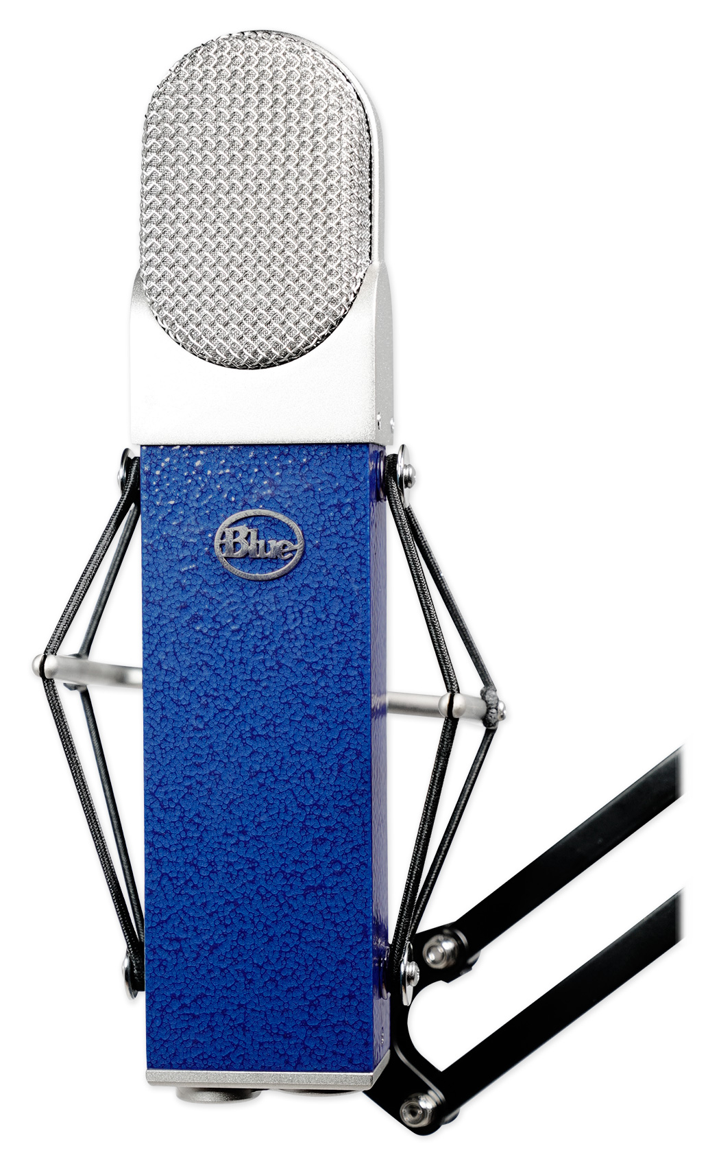 Blue Blueberry Condenser Recording Microphone Mic + 10" Powered Studio