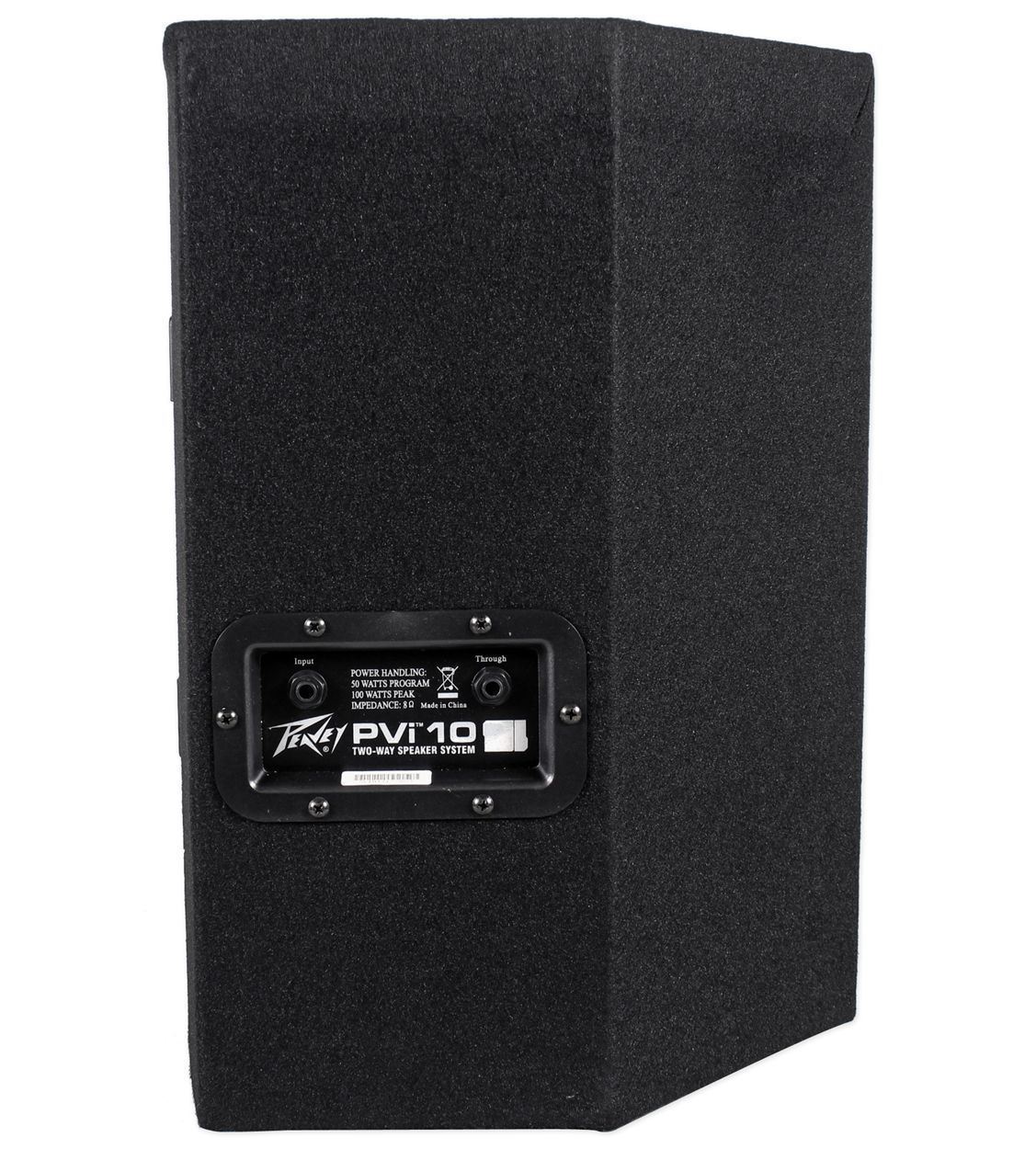 (2) Peavey PVI10 10" PA Speakers+PVI4B 4 Channel Powered Mixer